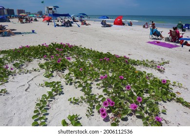 Clearwater, Florida US-July 10 2021:Sand Key Beach Park, A Barrier Island.