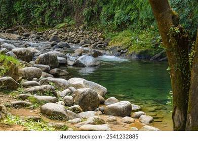  clear-water stream flows over smooth stones, creating a peaceful, natural scene. The sunlight highlights the clarity of the water, emphasizing the texture of the rocks below. - Powered by Shutterstock