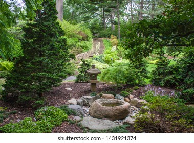 Cleveland Botanic Garden In Summer