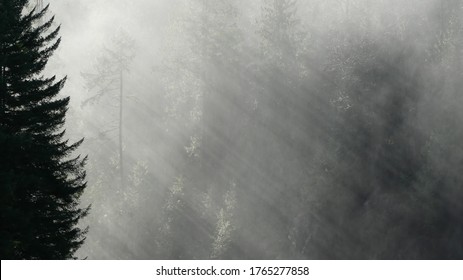 Cleveland Dam In North Vancouver