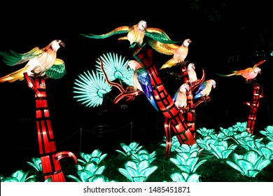 Cleveland, Ohio August 4, 2019: 
Asian Lantern Festival On Display At The Cleveland Metroparks Zoo.