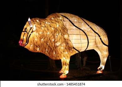 Cleveland, Ohio August 4, 2019: 
Asian Lantern Festival On Display At The Cleveland Metroparks Zoo.