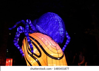 Cleveland, Ohio August 4, 2019: 
Asian Lantern Festival On Display At The Cleveland Metroparks Zoo.