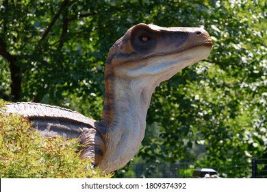 Cleveland, Ohio / USA - August 15 2020: Dinosaur Exhibition At The Cleveland Metroparks Zoo