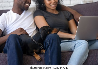 Clever Dachshund Dog Lays Down On Black Family Knees Enjoys Relaxation Looking At Laptop Screen, Smiling African Couple Use Computer Watching Video, Shopping With Funny Pet Sitting On Couch At Home