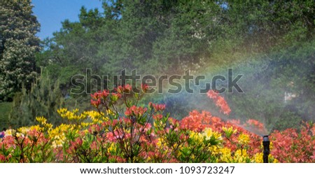 Clever garden with a fully automatic irrigation system, water azaleas.