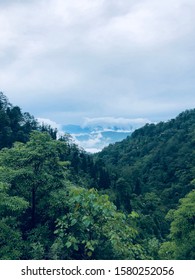 Clicked At Senchal Wildlife Sanctuary, Darjeeling