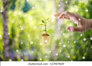 Clicks hand on sprout in the bulb. Green energy concept. - Shutterstock ID 1179479659