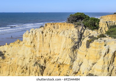 Cliff