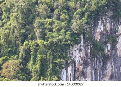 Cliff face close up