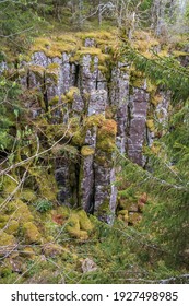 Cliff Face With A Talus Slope In A Ravine