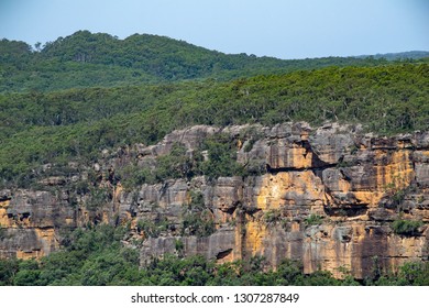 Cliff Face With Trees