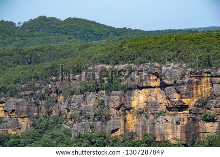Cliff face with trees