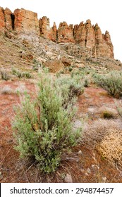 Cliff At John Day Fossil Beds