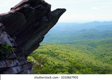 cliff overlooking forest