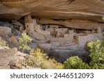 Cliff Palace at Mesa Verde National Park in Colorado protects Ancestral Puebloan sites. Cliff Palace is the largest and most famous cliff dwelling  in the park. 