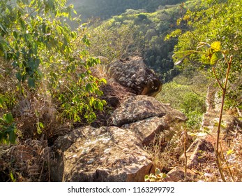 cliff with path of stones in the forest - Shutterstock ID 1163299792