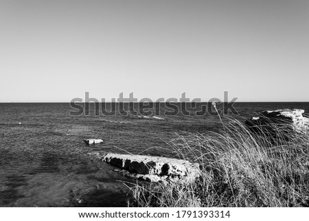 Similar – drained Beach Nature Sand