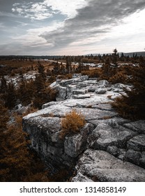 Cliff side view with pine trees and sunshine located in the dolly sods West Virginia