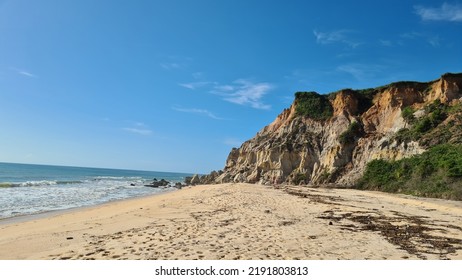 cliff tropical beach with exuberant nature. Lush green vegetation on the shore, in Trancoso in district of Porto Seguro, Brazil. Stone rock cliff landscape like colorful canyon, - Shutterstock ID 2191803813
