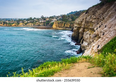 Cliffs along the Pacific Ocean, in La Jolla, California.