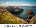 Cliffs of Bonavista, Newfoundland, Canada