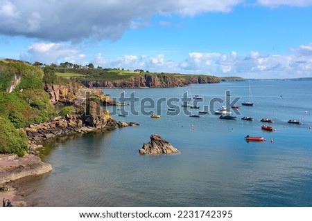 Cliffs at the coastline of southern Ireland, near Annestown, County Waterford, Reüublic of Ireland