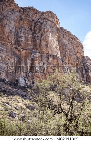 Cliffs with color striations in Sabino Canyon, Tucson, Arizona