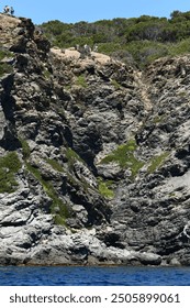 Cliffs diving in the sea