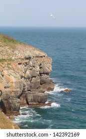 Cliffs At Durlston Country Park