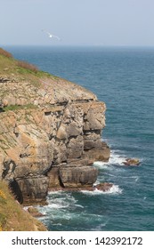 Cliffs At Durlston Country Park