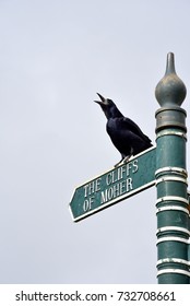 The Cliffs Of Moher Sign And Black Raven Bird 