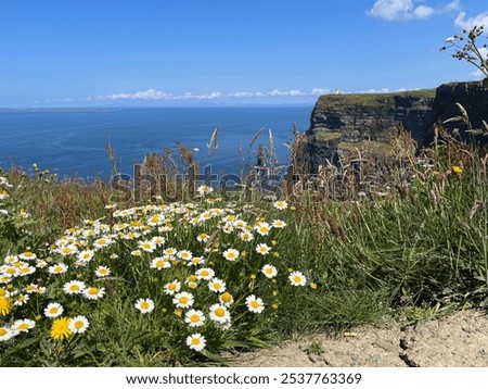 The Cliffs of Moher in spring