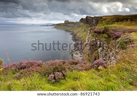 Cliffs near Kilt rock waterfall, Isle Of Skye, Scotland, UK