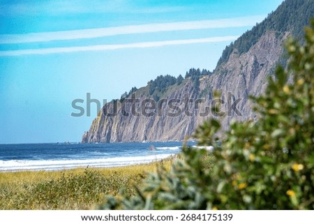 Cliffs, ocean and foreground, a view of the coast of the sea off the Oregon Coast. 