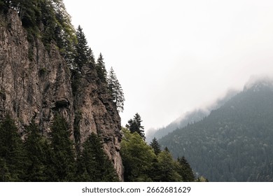 Cliffs with pine trees and forest covered misty mountains in the background in the summer at daytime.
