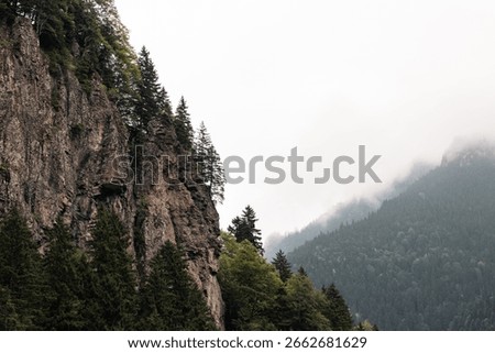 Cliffs with pine trees and forest covered misty mountains in the background in the summer at daytime.