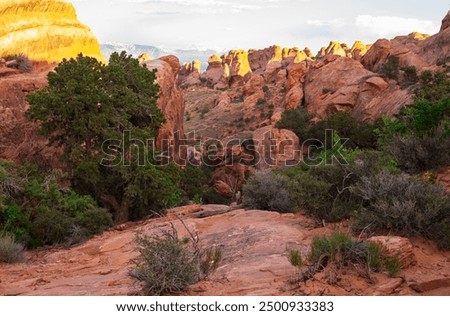 The cliffs spires on the Devils Garden Trail in Arches National Park, Utah