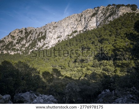 cliffs through which the Archduke's Way runs, Coll de Son Gallard, Valldemossa, Natural area of the Serra de Tramuntana., Majorca, Balearic Islands, Spain