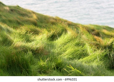 cliffs vegetation