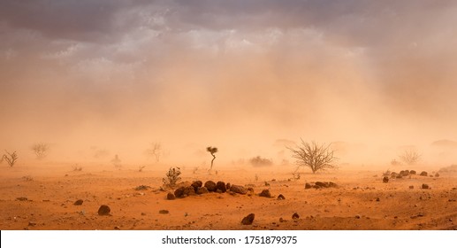 Climate change in Africa: dramatic dusty sandstorm blowing sand and dirt through savanna, disrupting life in Melkadida refugee camp , Dollo Ado, Somalia region, Ethiopia, Horn of Africa - Powered by Shutterstock