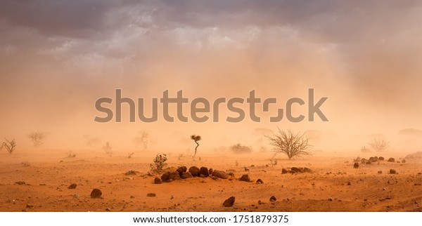 Climate\
change in Africa: dramatic dusty sandstorm blowing sand and dirt\
through savanna, disrupting life in Melkadida refugee camp , Dollo\
Ado, Somalia region, Ethiopia, Horn of\
Africa