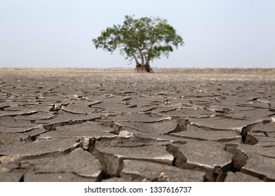 Climate change background