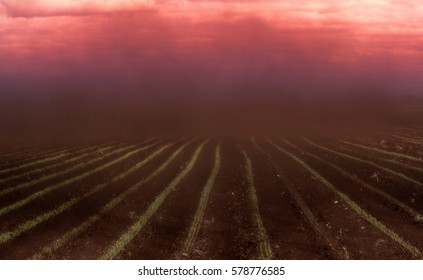 Climate Change. Black Blizzard (dust Devil, Dust Whirl) On Agricultural Lands. Loss Of Soil And Crops. Everything Is Drowning In Dense Stream Of Dust. Dirt Clogs The Eyes, Nostrils And Ears