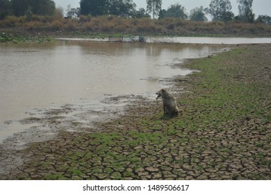Climate change causing a hot world- fast evaporating water from 
global warming to be water shortage .