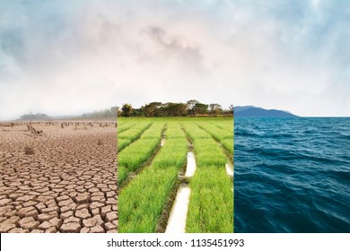 Climate change, compare image with Drought, Green field and Ocean metaphor Nature disaster, World climate and Environment, Ecology system. - Shutterstock ID 1135451993