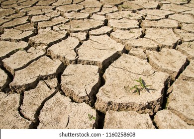 Climate Change Concept, Drought In Central Europe In Summer 2018. Extreme Temperatures In Czech Republic.