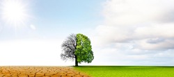 Il Cambiamento Climatico Dalla Siccità Alla Crescita Verde