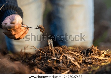 climate change effects soil, studying soil health and life, in national park forests and in agriculture
