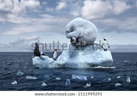climate change. garbage patch. the bear cries closing its face with its paws. polar bear, penguins and fur seal sits on a melting glacier in the middle of the ocean. ecological catastrophy